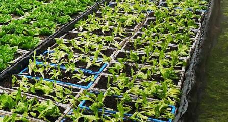 測(cè)土配方的儀器去哪里買更靠譜？