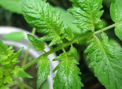 使用測土配方施肥儀這兩個好處你知道嗎？